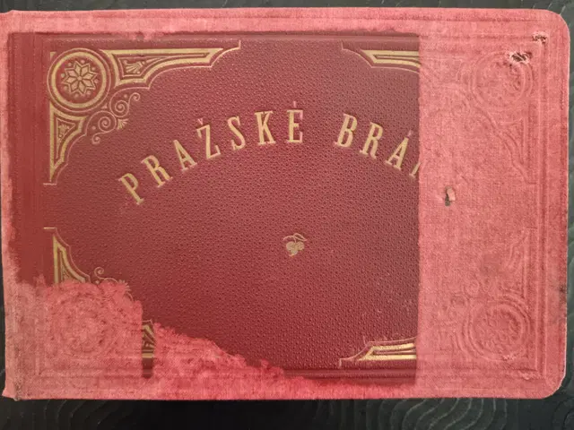 K. Pták: Pražské brány 1874